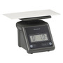 Brecknell Electronic Postal Scale, 7 lb Capacity, 5 1/2 x 5 1/5 Platform, Gray View Product Image