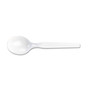 Dixie Plastic Cutlery, Heavy Mediumweight Soup Spoon, 1,000/Carton (DXESM207CT) View Product Image