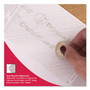 DocuGard Standard Security Check, 11 Features, 8.5 x 11, Blue Marble Middle, 500/Ream