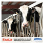 WypAll L10 SANI-PREP Dairy Towels, POP-UP Box, 1-Ply, 10.25 x 10.5, White, 110/Pack, 18 Packs/Carton