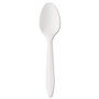 Boardwalk Mediumweight Polypropylene Cutlery, Teaspoon, White, 1000/Carton (BWKSPOONMWPP) View Product Image