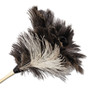 Boardwalk Professional Ostrich Feather Duster, 13" Handle (BWK23FD) View Product Image