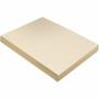Pacon Tagboard - Art, Craft - 1.10" Height x 9" Width x 12" Length - Manila
