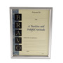 Universal Plastic Document Frame, for 8.5 x 11, Easel Back, Metallic Silver