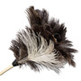 Boardwalk Professional Ostrich Feather Duster, 7" Handle (BWK13FD) View Product Image