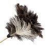 Boardwalk Professional Ostrich Feather Duster, 7" Wood Handle