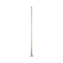 Boardwalk Clip-On Dust Mop Handle, Lacquered Wood, Swivel Head, 1" dia x 60", Natural