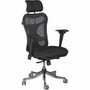 MooreCo Ex Ergonomic Office Chair - Black Seat Color - 5-star Base