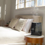 Honeywell HWM845 Warm Mist Humidifier - Warm Mist - 1 gal Tank - 520 Sq. ft.