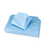 HOSPECO Sontara EC Engineered Cloths, 12 x 12, Blue, 100/Pack, 10 Packs/Carton (HOSPR811) View Product Image