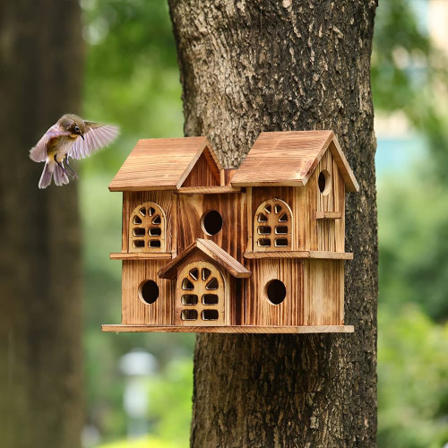 Bird House