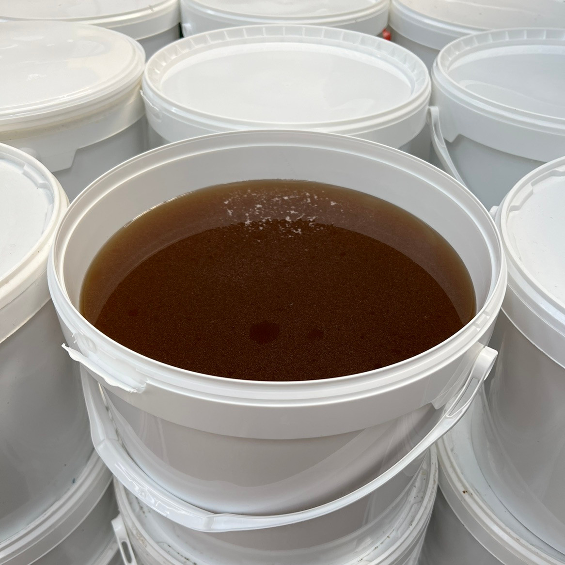 Bulk English Honey 20KG Bucket - Honeyfields Bee Farm