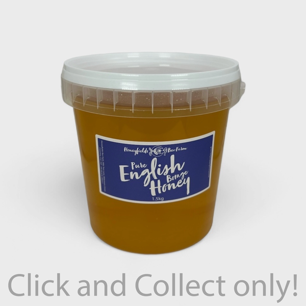 Pure English borage Honey 1.5 kg Bucket grey back ground