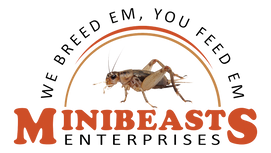 Minibeast Enterprises