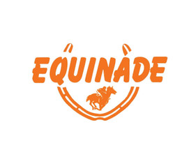 Equinade