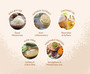Pet Head On All Paws Paw Butter 60ml (Order Only)