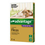Advantage Flea Treatment for Cats over 4kg (3 sizes)