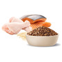Advance Adult Multi Cat Chicken & Salmon with Rice (Order Only)