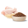 Advance Adult Cat Healthy Ageing (Order Only)