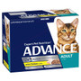 Advance Adult Cat Chicken & Jelly Pouches (Order Only)