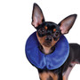 KONG Recovery Cloud Collars