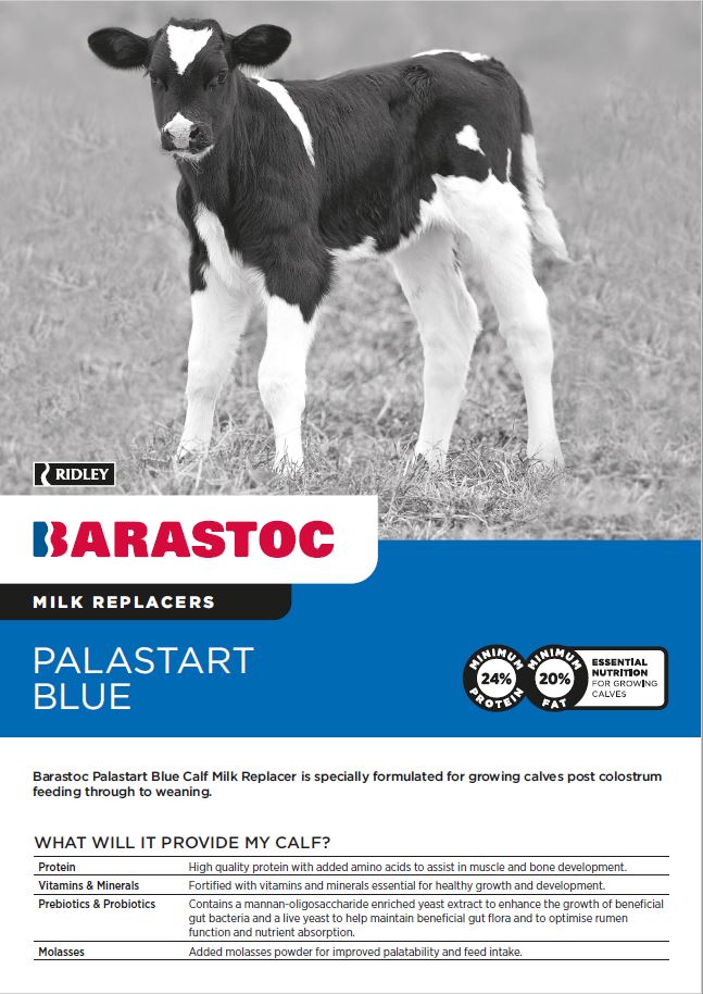 Palastart BLUE Calf Milk Replacer 20kg (Order Only)