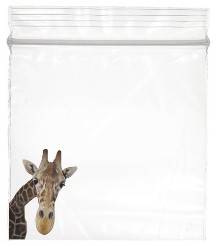 Re-closable Bags