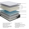 Anniversary Edition Plush - Mattress