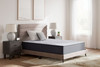 Anniversary Edition Plush - Mattress