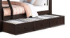 Brockton Espresso Optional Storage Trundle