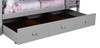 Rylan Gray Optional Twin Storage Trundle shown with Dividers