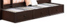 Foster Espresso Optional XL Storage Trundle