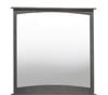 Idlewild Graywash Tall Mirror