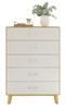 Tinley Park Modern 5 Drawer Dresser
