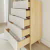 Tinley Park Modern 5 Drawer Dresser Drawer Detail Room