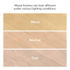 Ducati Natural Modern Dining Room Sets with Bench Different Lighting Finish Detail