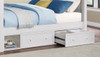 Edrea Optional Set of 2 XL Underbed Storage Drawers White Finish