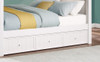 Edrea Optional Twin XL Storage Trundle White Finish