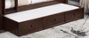 Edrea Optional Twin XL Storage Trundle shown with Mattress Espresso Finish
