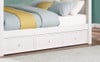 Edrea Optional Twin XL Storage Trundle White Finish