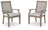 Rainier Ranch Arm Chair With Cushion (2/CN)
