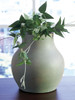 Baychester - Vase