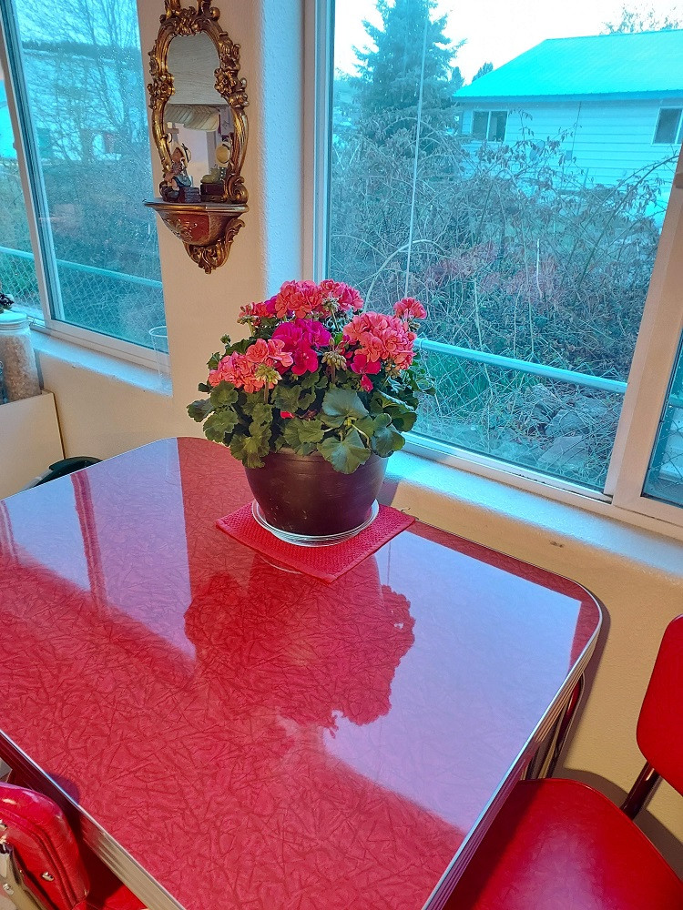 Queen for a Day Retro Dining Table Customer Photo Red Cracked Ice