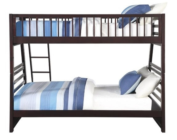 Trevor Espresso Twin over Queen Bunk Bed with Drawers Back View