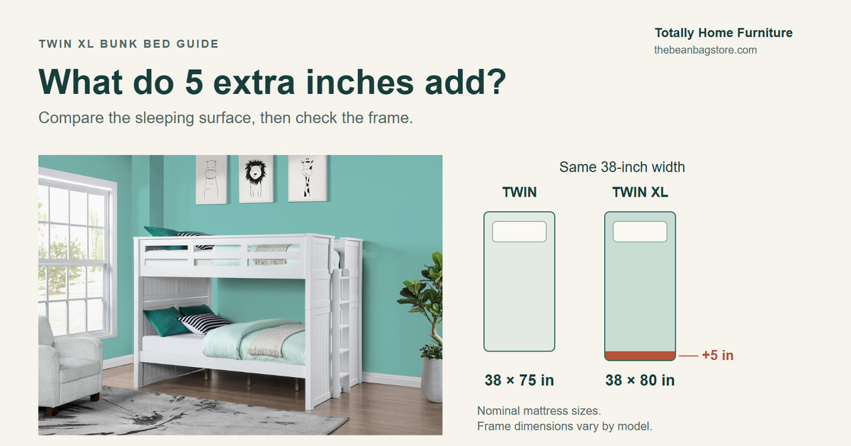 Twin XL Bunk Beds: Why the Extra 5 Inches Matters for Teens and Adults