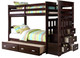 Wynn Espresso Twin over Twin Bunk Bed with Trundle and Stairs