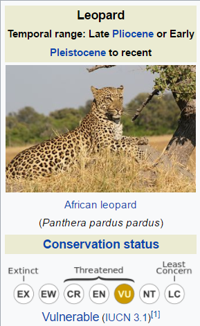 leopard-extinct.png leopard-extinct.png