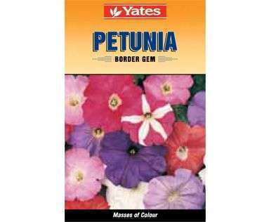 Yates Seeds Petunia Boarder Gem
