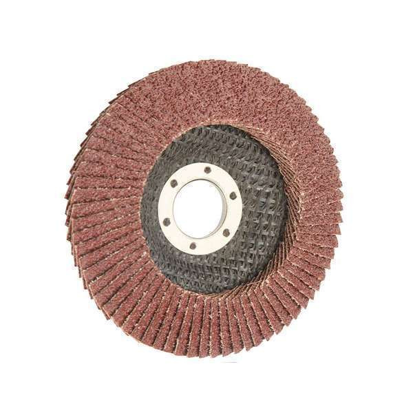 Tolsen Flap Disc 125 x 22.2mm 40G