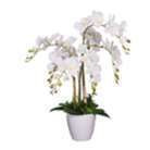 Artificial Orchid Plant 75cm